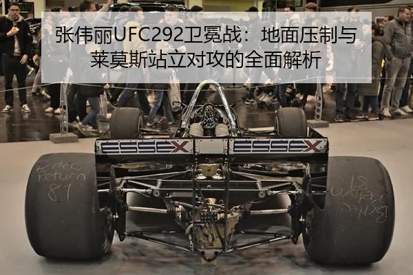 张伟丽UFC292卫冕战：地面压制与莱莫斯站立对攻的全面解析